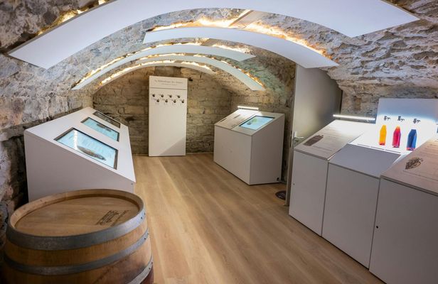 Le Petit Musée du Vin ticket with wine tasting in Lyon