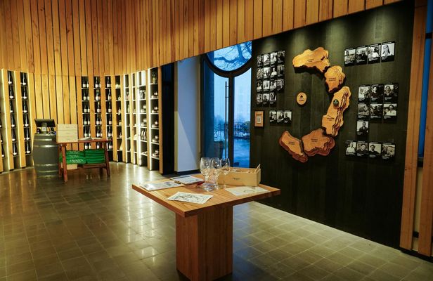 Guided tasting of Etna's extra virgin olive oil