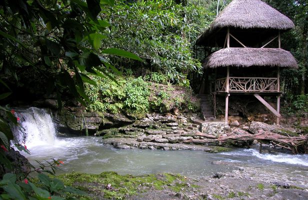 Half day jungle expedition with naturalistic activites