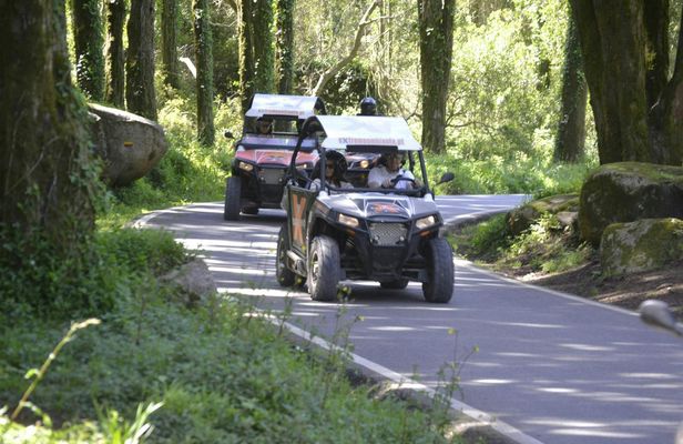 Buggy Sightseen Ride in Sintra and Cascais Coastline