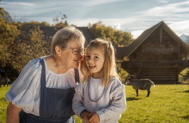 Ballenberg Swiss Open-Air Museum entrance ticket
