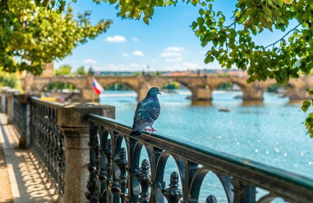 Prague grand 2 hours and 2.5 hour exterior walking tour