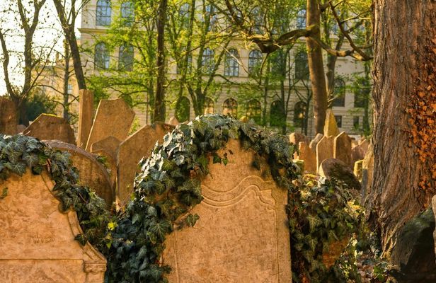 Prague Jewish town admission ticket with introduction