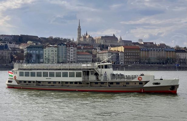 Danube cruise with audioguide and panorama terrace