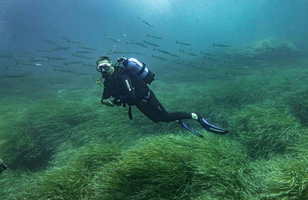 SSI 1 day scuba diver course in Mallorca