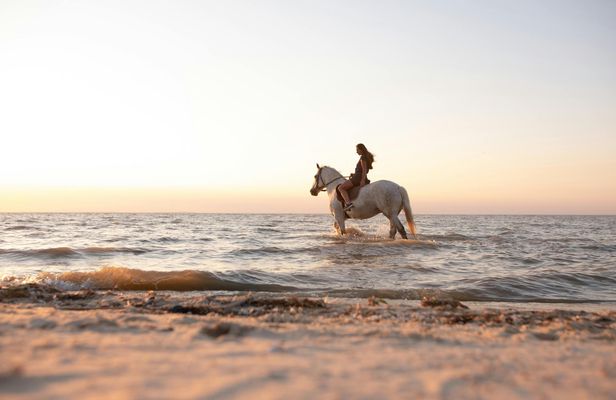 Santorini horseback ride and wine-tasting private experience