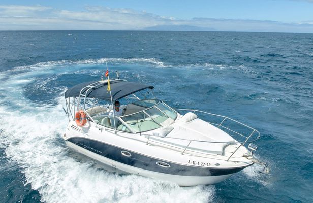 Small-group cruise in Tenerife