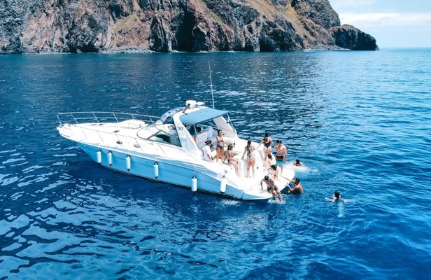 Whales and dolphins watching boat tour