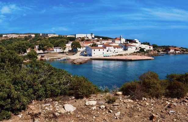 Minivan day tour to Asinara National Park from Stintino
