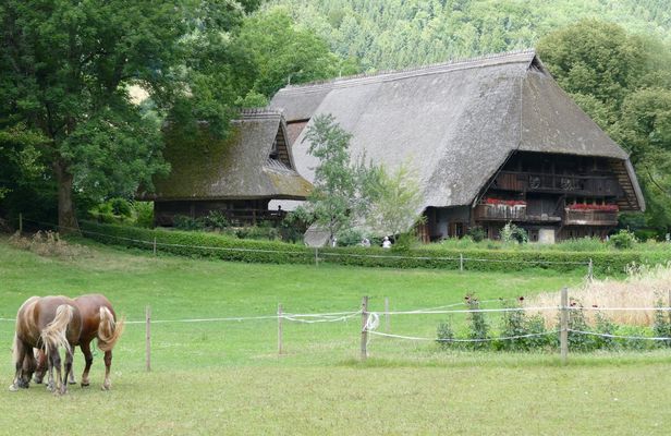 Black Forest day tour from Strasbourg