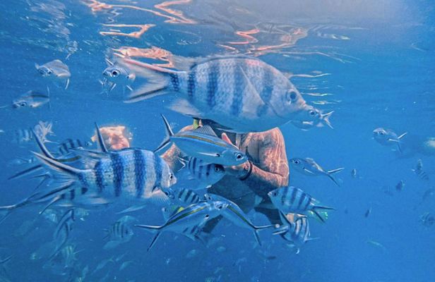 Koh Chang 3 islands snorkelling and fun fishing experience