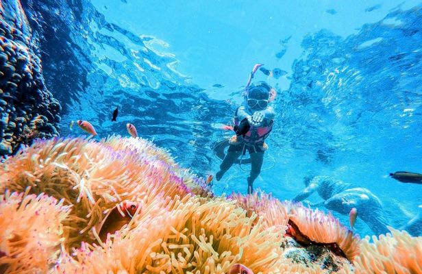 Koh Chang 4 islands snorkelling Rang National Park experience