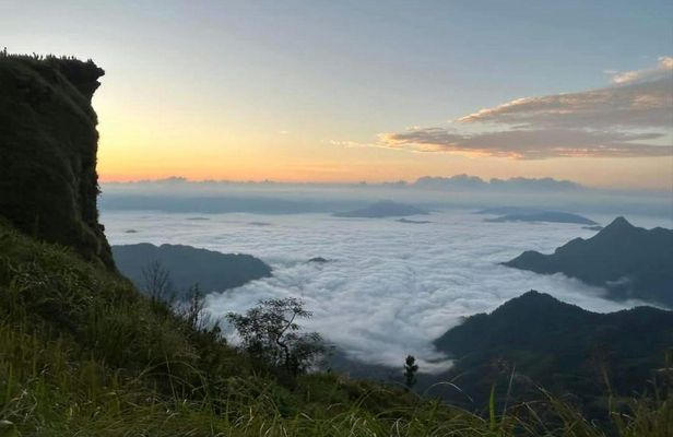 Phu Chi Fah sunrise and Doi Pha Tang guided day-trip