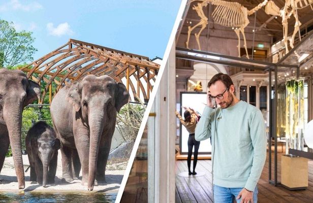 ARTIS Amsterdam Royal Zoo and ARTIS-Groote Museum Entrance Ticket