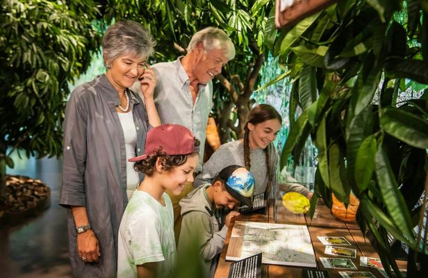 Lindt Home of Chocolate museum access with guided tour