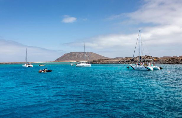 Adults only Tenerife Freebird whale and dolphin catamaran