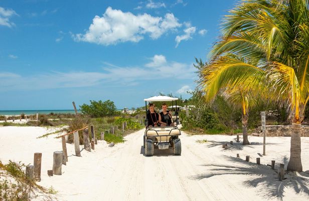 Private Holbox Island boat and buggy tour in Mexico