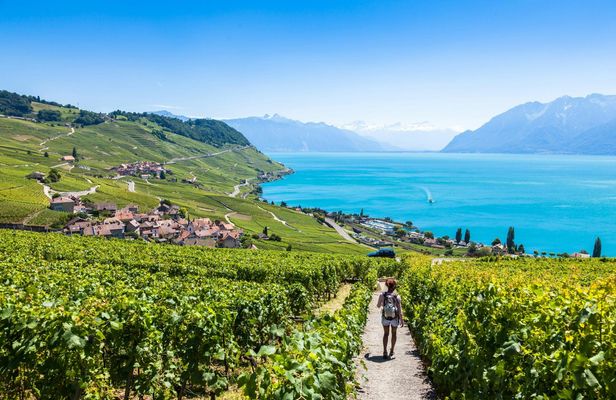 Wine tour in the Lavaux vineyards