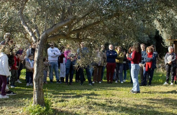 Organic Sicilian honey tasting and beekeeping tour