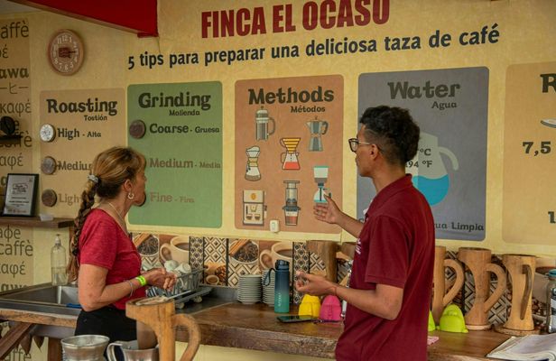Finca El Ocaso guided coffee farm tour with tasting