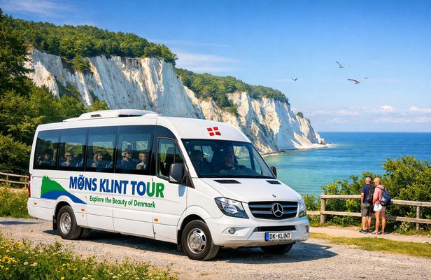 Full-day tour to Møns Klint and The Forest tower from Copenhagen