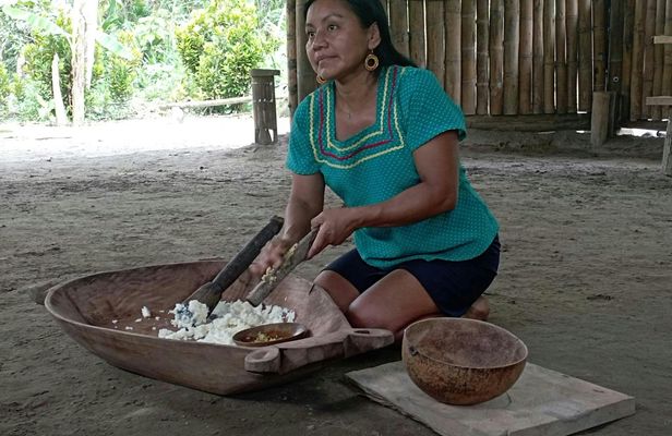 Day tour to discover the jungle with river adventure