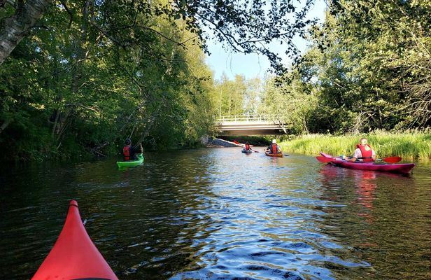 Guided kayak safari on the Oulu River delta