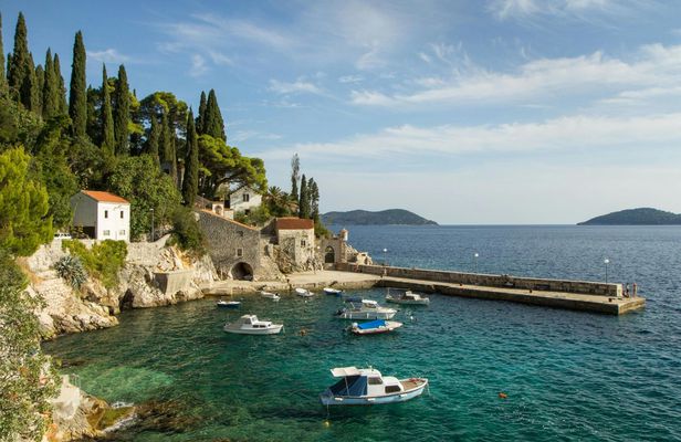 Trsteno, Ston and Pelješac wine experience from Dubrovnik