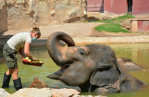 Terra Natura Zoo tickets