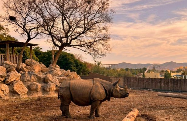Terra Natura Zoo + Aqua Natura combined tickets