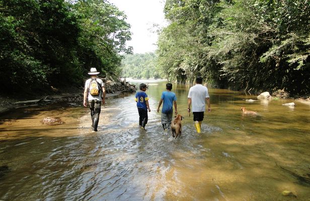 Napo Province primary rainforest guided tour with a local