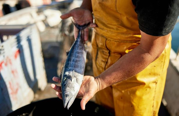 Skiathos fishing experience - no transfer