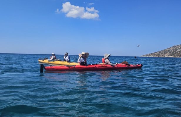 Athens coastline sunset kayak experience