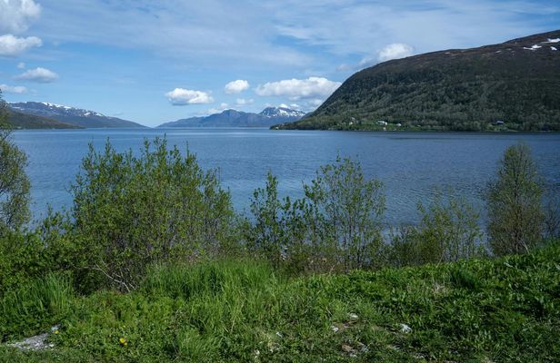 Arctic fjord guided tour from Tromsø