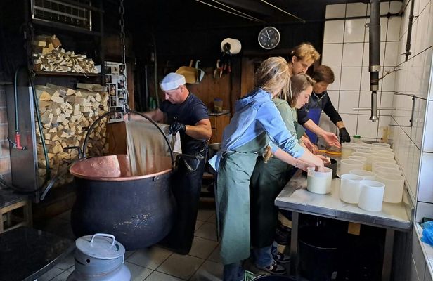 Swiss Alps cheese farm tour with cheese-making workshop