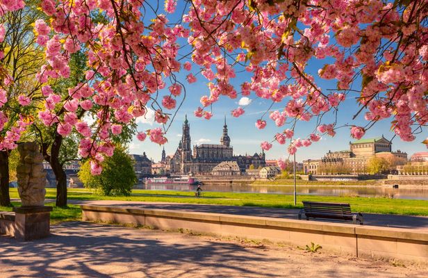 Tour of Dresden's most photogenic spots with a local