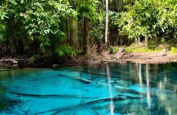 Full day small group jungle tour in Krabi's rainforest with lunch