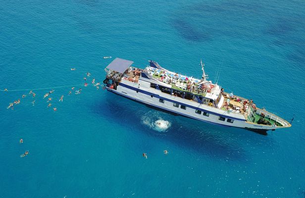 Odyssey boat safari