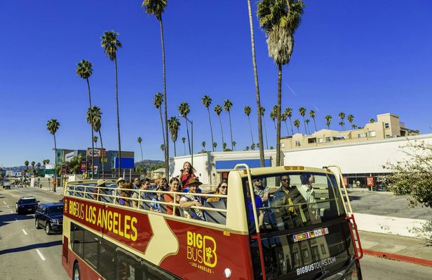 Big Bus Tour of Los Angeles