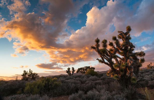 Stargazing tour at Lovell Canyon from Las Vegas