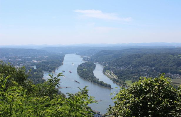 Scenic boat tour between Bonn and Königswinter