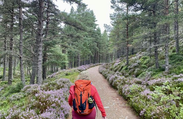 Scottish Highlands full-day guided walking tour
