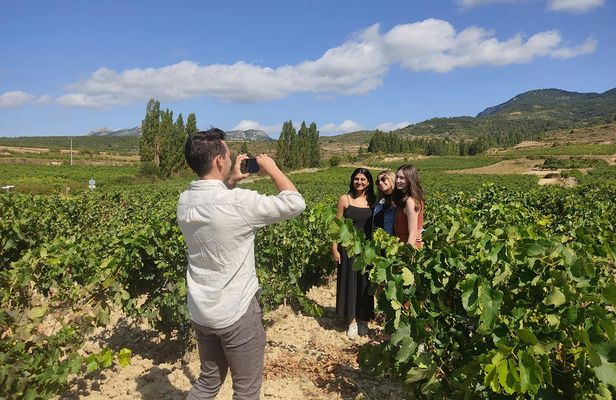 Full-day La Rioja wine tour and visit to Laguardia from Vitoria