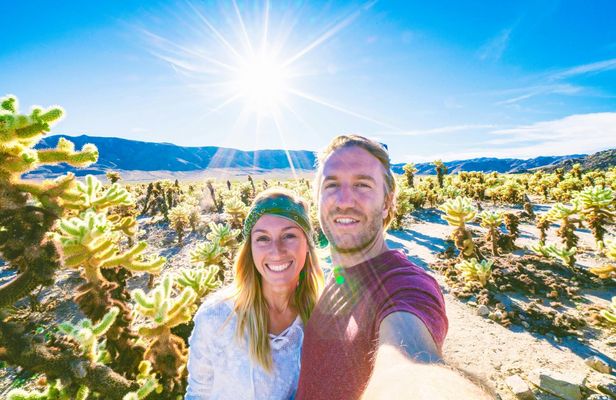 Guided Joshua Tree National Park plus The Richard Nixon Presidential Library and Museum