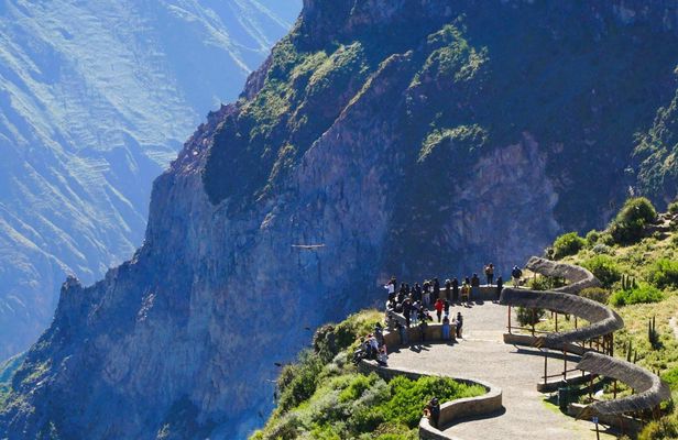 Colca Canyon full-day group tour with transfer to Puno from Arequipa