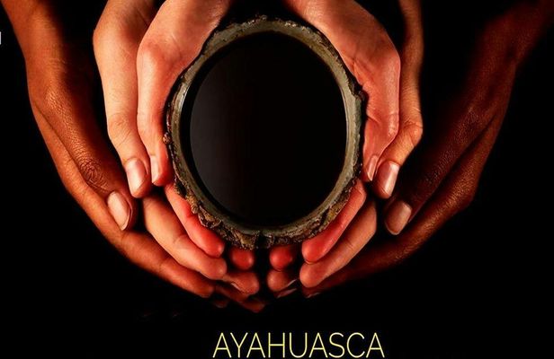 Ayahuasca ceremony and spiritual retreat from Cusco