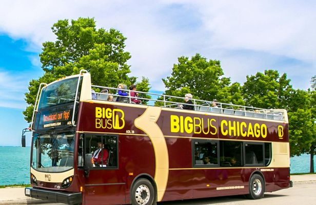Big Bus tour of Chicago