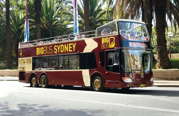 Big Bus tour of Sydney