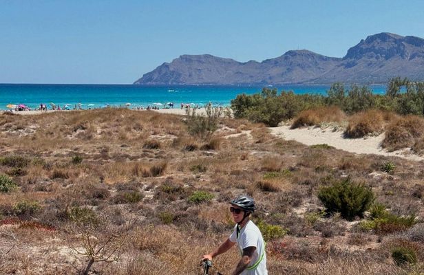Electric scooter off-road tour in Mallorca