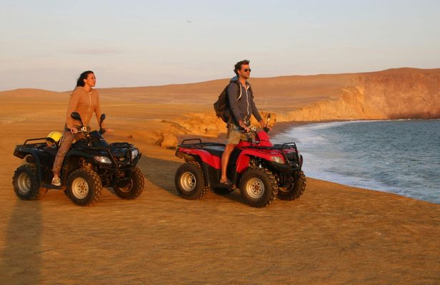 Paracas National Reserve buggy and ATV adventure